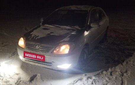 Toyota Corolla, 2003 год, 255 000 рублей, 6 фотография