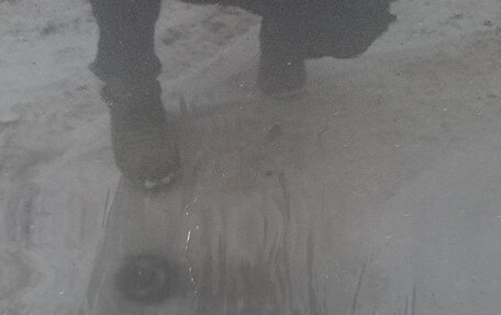 Mazda 3, 2009 год, 810 000 рублей, 17 фотография