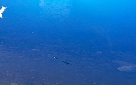 Renault Sandero II рестайлинг, 2015 год, 900 000 рублей, 10 фотография