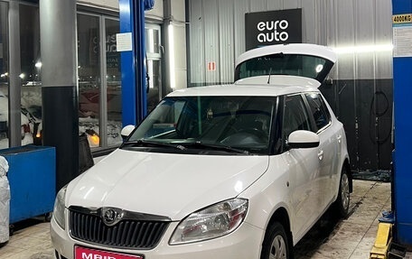 Skoda Fabia II, 2014 год, 540 000 рублей, 1 фотография