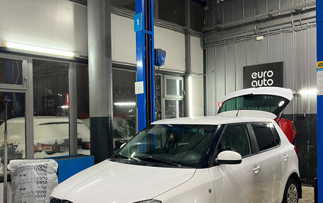 Skoda Fabia II, 2014 год, 540 000 рублей, 14 фотография