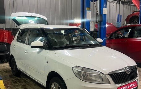 Skoda Fabia II, 2014 год, 540 000 рублей, 15 фотография