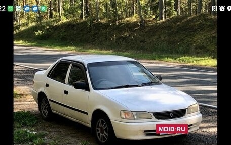 Toyota Corolla, 2000 год, 300 000 рублей, 2 фотография