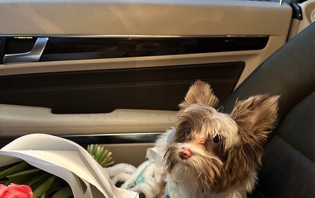 Mercedes-Benz E-Класс, 2016 год, 3 300 000 рублей, 24 фотография