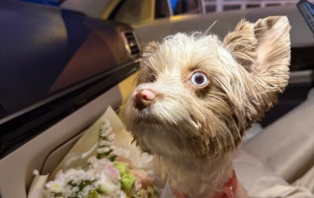 Mercedes-Benz E-Класс, 2016 год, 3 300 000 рублей, 23 фотография