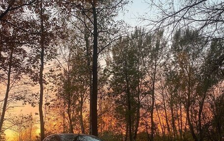 Ford Focus II рестайлинг, 2006 год, 420 000 рублей, 2 фотография