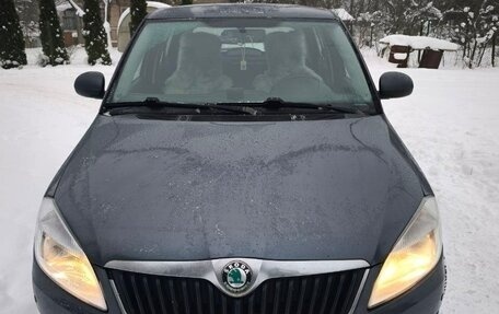 Skoda Fabia II, 2010 год, 665 000 рублей, 3 фотография