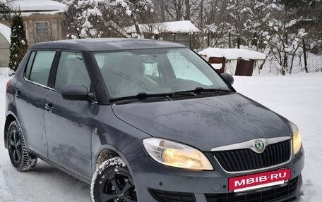 Skoda Fabia II, 2010 год, 665 000 рублей, 2 фотография