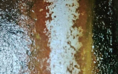 Cadillac Escalade III, 2007 год, 1 350 000 рублей, 3 фотография