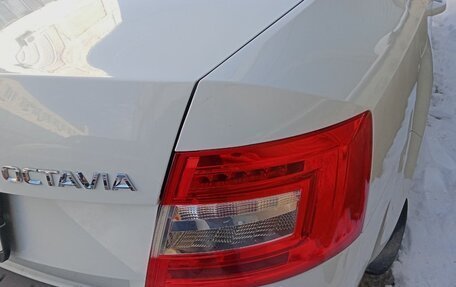 Skoda Octavia, 2020 год, 2 200 000 рублей, 5 фотография