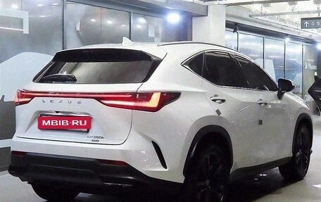 Lexus NX, 2024 год, 6 410 000 рублей, 3 фотография