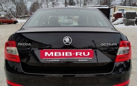 Skoda Octavia, 2015 год, 1 580 000 рублей, 5 фотография