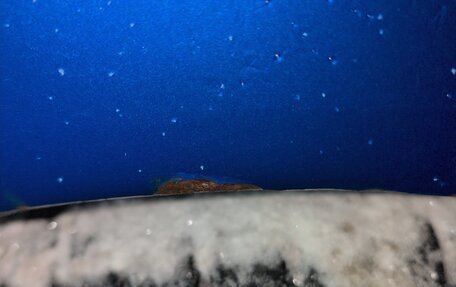 Subaru Impreza WRX III рестайлинг, 2003 год, 1 050 000 рублей, 10 фотография