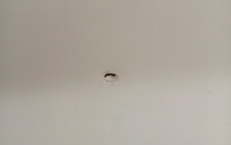 Volkswagen Polo VI (EU Market), 2020 год, 1 175 000 рублей, 18 фотография