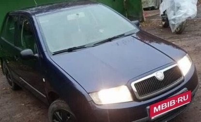 Skoda Fabia I, 2003 год, 150 000 рублей, 1 фотография