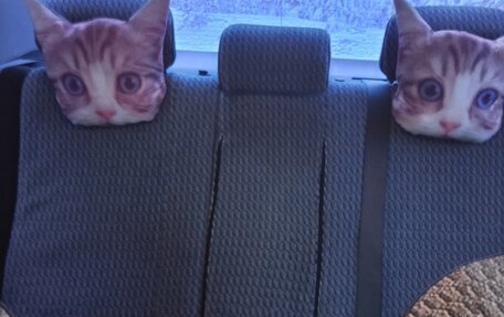 Toyota Corolla, 2008 год, 850 000 рублей, 10 фотография