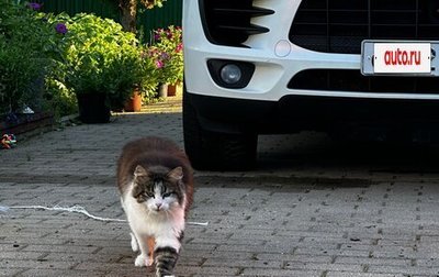 Porsche Macan I рестайлинг, 2016 год, 2 690 000 рублей, 1 фотография