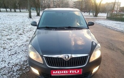 Skoda Fabia II, 2014 год, 579 000 рублей, 1 фотография