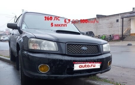 Subaru Forester, 2004 год, 520 000 рублей, 1 фотография