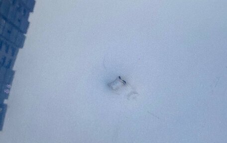 Volkswagen Jetta VI, 2011 год, 1 050 000 рублей, 21 фотография