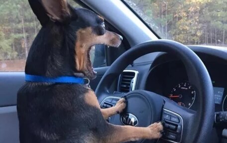 Jeep Grand Cherokee, 1992 год, 290 000 рублей, 12 фотография