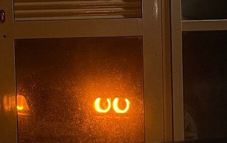 BMW 5 серия, 2001 год, 700 000 рублей, 4 фотография