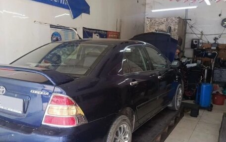 Toyota Corolla, 2004 год, 800 000 рублей, 1 фотография