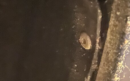 Volvo 850, 1992 год, 370 000 рублей, 10 фотография