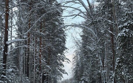 Haval H7, 2025 год, 3 100 000 рублей, 4 фотография