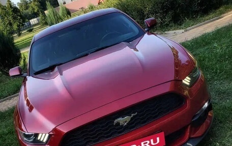 Ford Mustang VI рестайлинг, 2014 год, 2 699 000 рублей, 4 фотография