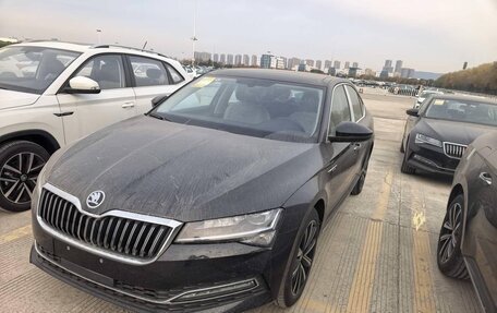 Skoda Superb III рестайлинг, 2025 год, 2 754 000 рублей, 1 фотография