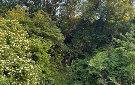 Mercedes-Benz GLA, 2016 год, 2 350 000 рублей, 39 фотография