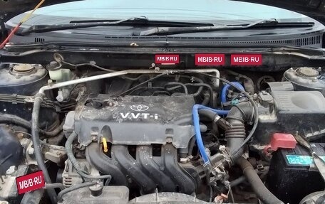 Toyota Corolla, 2003 год, 470 000 рублей, 8 фотография