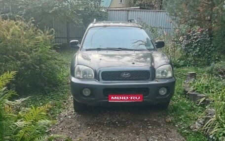 Hyundai Santa Fe III рестайлинг, 2002 год, 400 000 рублей, 1 фотография