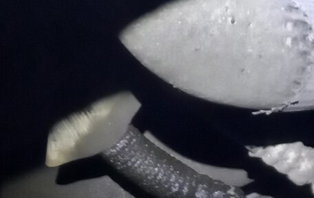 Cadillac SRX II рестайлинг, 2012 год, 1 300 000 рублей, 17 фотография