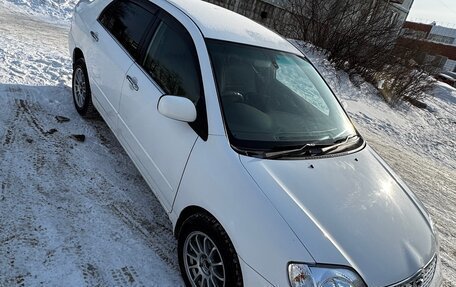 Toyota Corolla, 2002 год, 590 000 рублей, 2 фотография