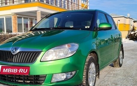 Skoda Fabia II, 2013 год, 800 000 рублей, 1 фотография
