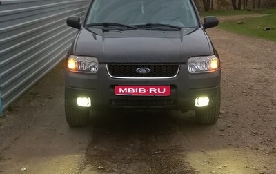 Ford Escape II, 2003 год, 650 000 рублей, 1 фотография