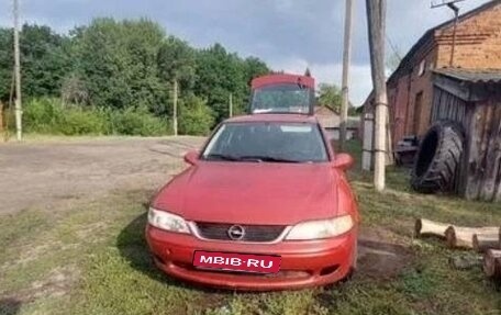 Opel Vectra B рестайлинг, 1999 год, 85 000 рублей, 1 фотография