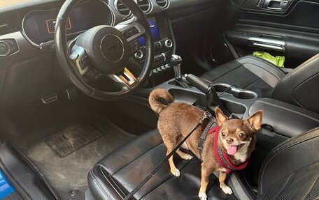 Ford Mustang VI рестайлинг, 2018 год, 2 900 000 рублей, 10 фотография