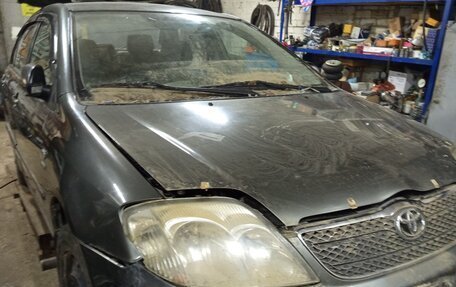 Toyota Corolla, 2003 год, 250 000 рублей, 3 фотография