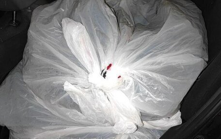 Toyota Auris II, 2011 год, 790 000 рублей, 14 фотография