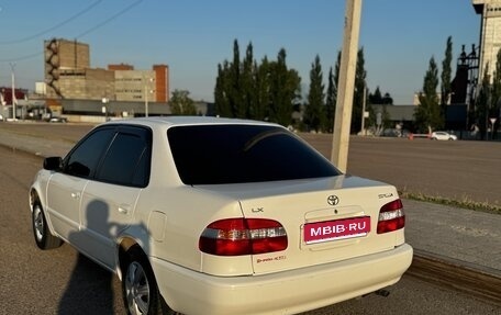 Toyota Corolla, 1999 год, 389 000 рублей, 1 фотография