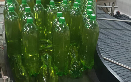 Toyota Corona IX (T190), 1995 год, 230 000 рублей, 1 фотография