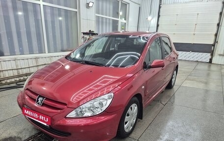 Peugeot 307 I, 2005 год, 360 000 рублей, 25 фотография