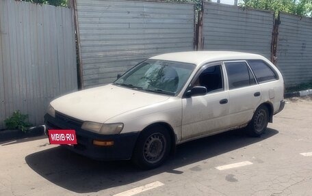 Toyota Corolla, 1998 год, 259 000 рублей, 2 фотография
