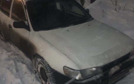 Toyota Corolla, 1998 год, 259 000 рублей, 5 фотография