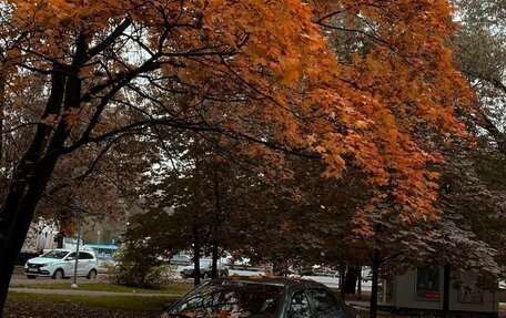 Skoda Octavia IV, 1998 год, 350 000 рублей, 10 фотография