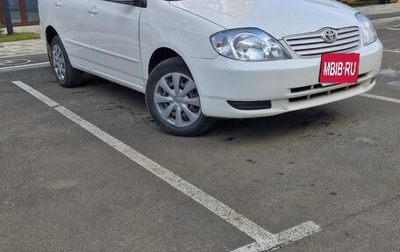 Toyota Corolla, 2002 год, 520 000 рублей, 1 фотография