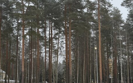 Skoda Octavia, 2017 год, 1 100 000 рублей, 7 фотография